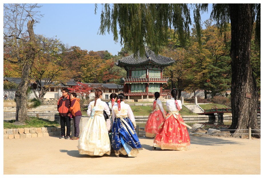 향원정의 붉은 단풍은 국모의 단심인가......