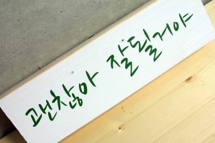 블로그 이미지