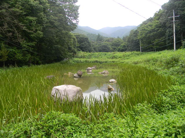 문경 김룡사계곡, 대성암