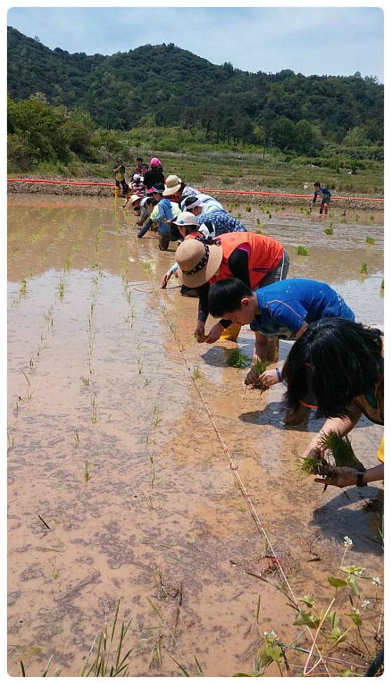 2515DE45595DFA302E1AB3