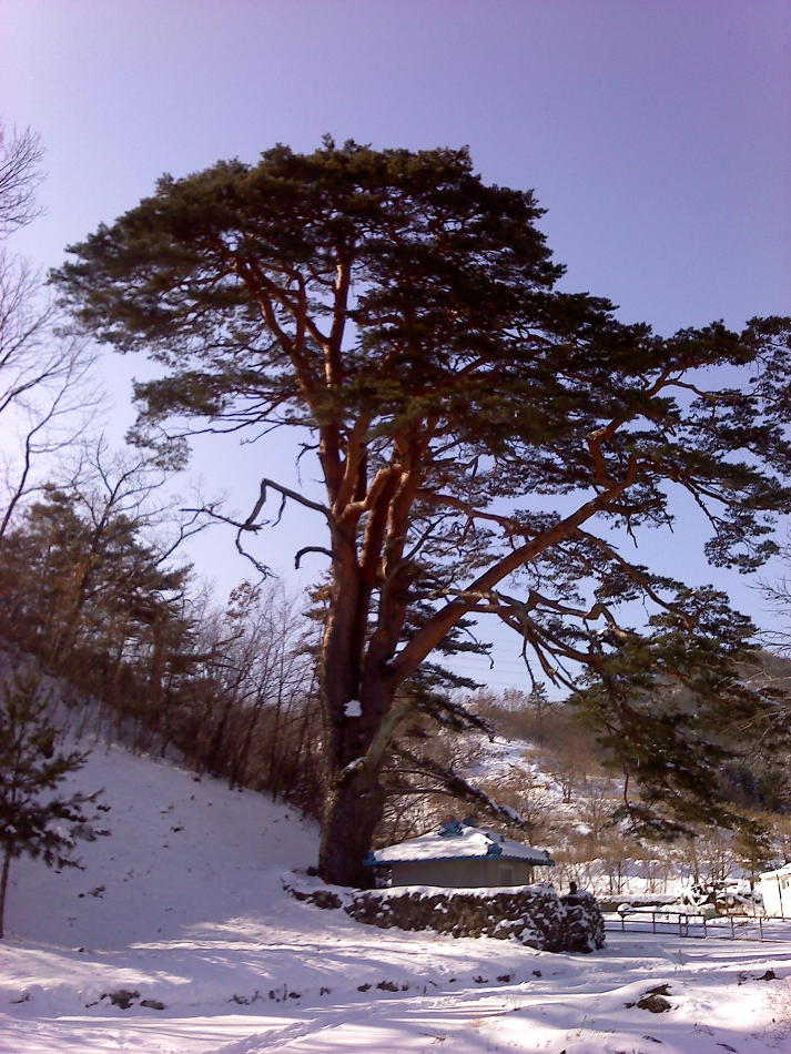 해파랑길 29코스 이미지