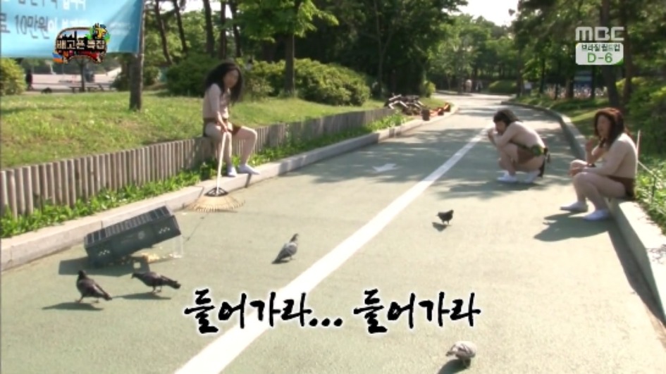 [무한도전] 무한족 서울 도심에서 비둘기 잡기 jpg | 인스티즈