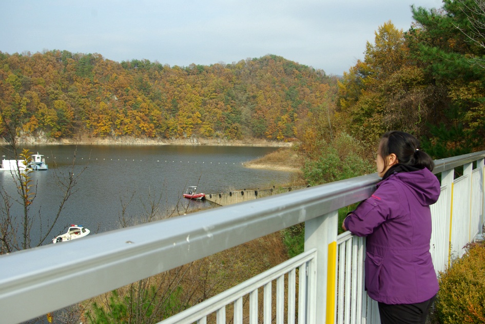 강원 횡성호에 내려앉은 가을단풍 반영