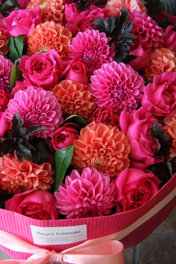 254D5E3757FF6140050DB1