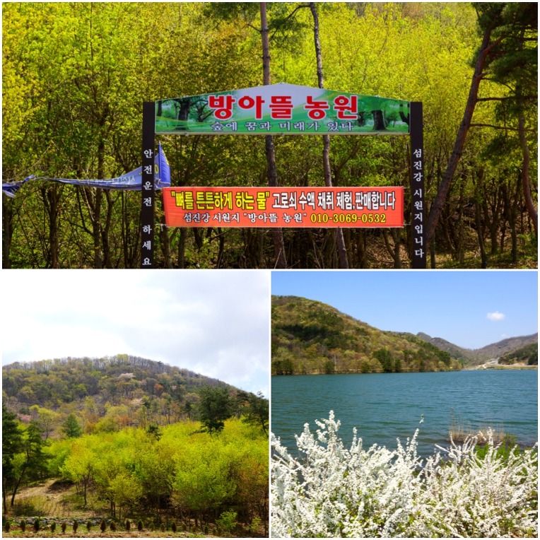 뜰과숲농원 이미지