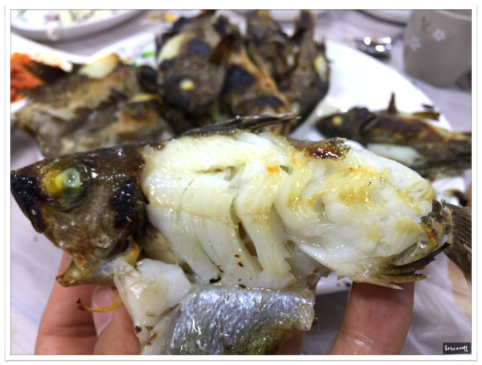 <통영/중앙시장>뽈락구이,병어돔회,멍게비빔밥,갑오징어찜,도다리지리탕..태웅관 - 전북/전주 지역 추천맛집 태웅관 후기
