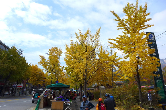만추식당 이미지