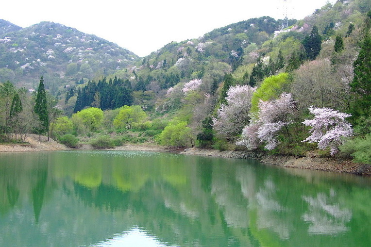 2611214D52A50E1A0FE098