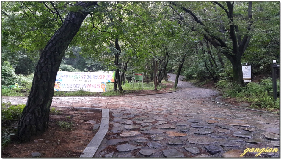 산행 한번 하기 정말 힘들다~/무장봉 산행이 무산되고 소금강산으로~
