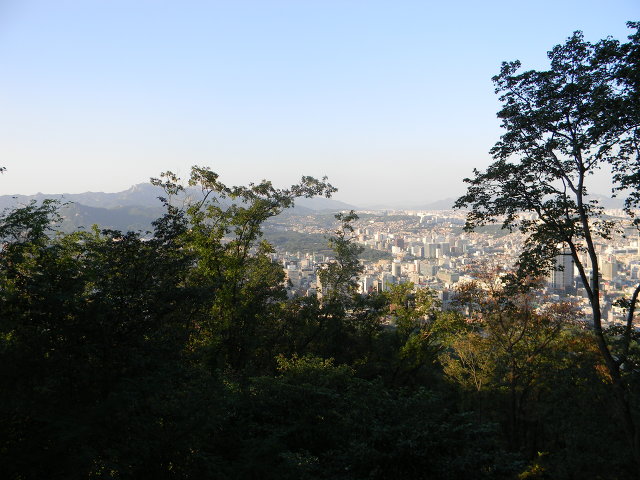 남산 정상 에서 이미지