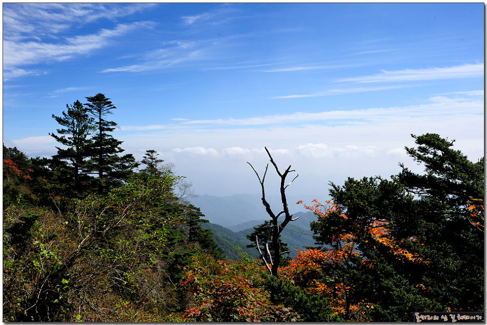 지리산의 가을