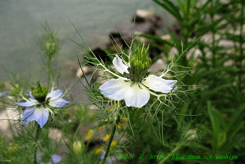 몽트뢰 꽃길(3)-한강의 꽃