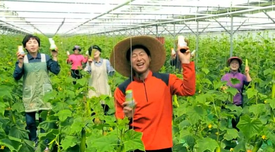 봉황광고 이미지