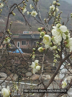 진짜베기 이미지