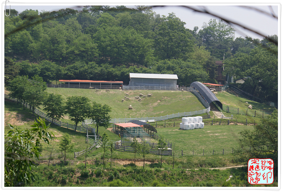 용인축산업협동조합한우랜드 이미지