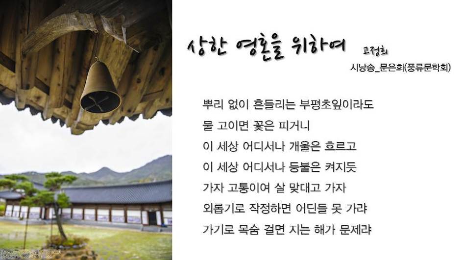 '차꽃, 바람에 머물다' 출판행사 PPT