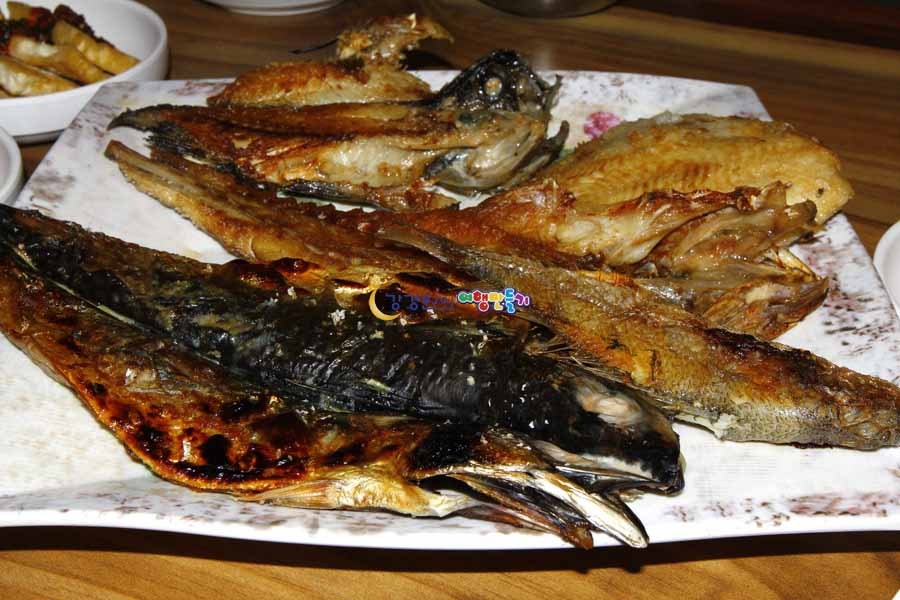 뻘땅 이미지