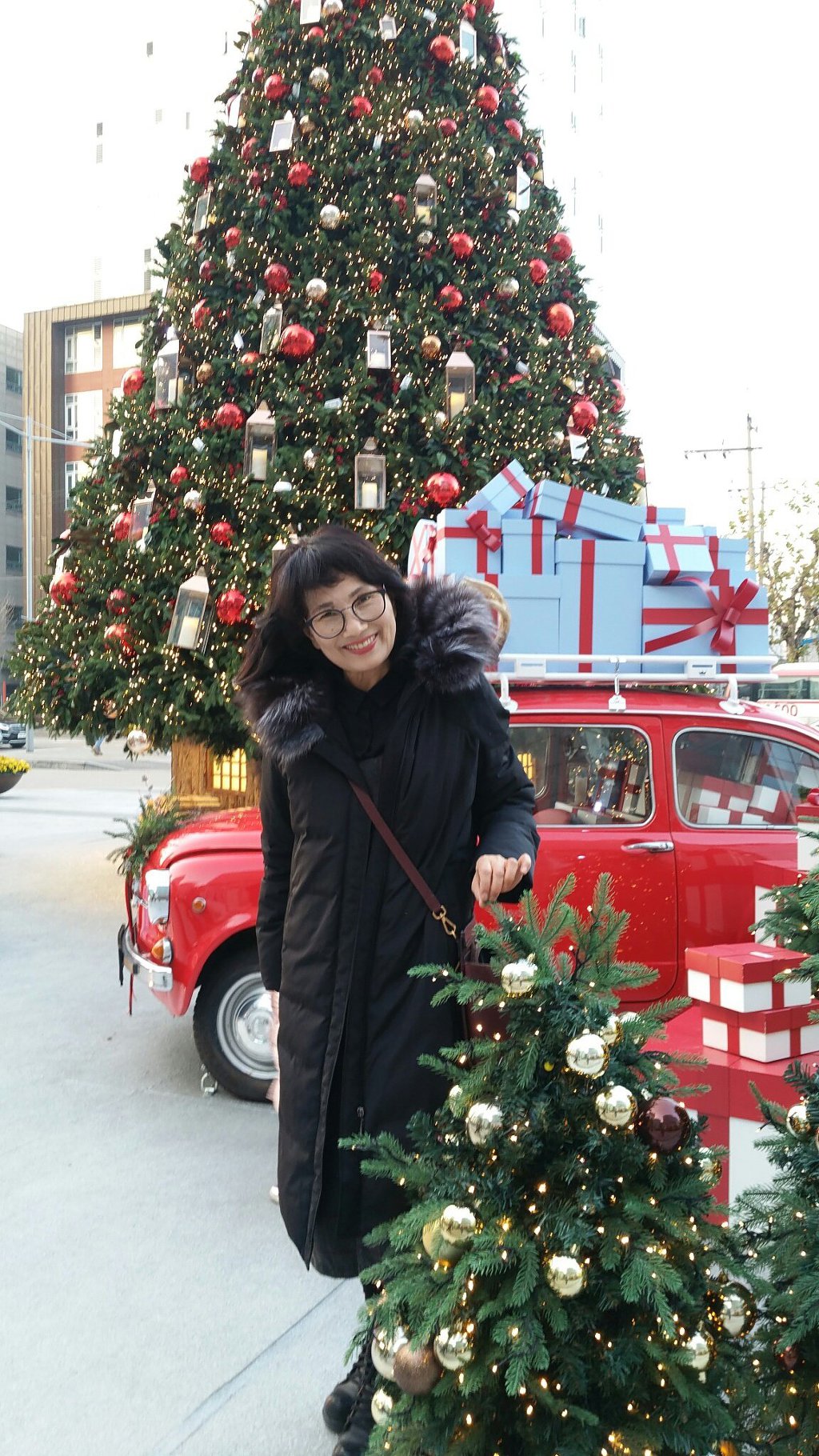 보헤미안 렙소디 