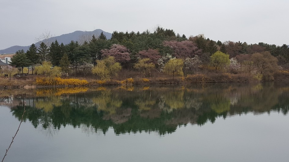 충주 호암지 에서/