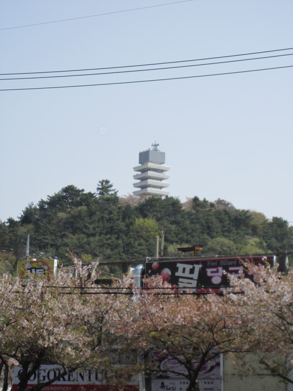 진해