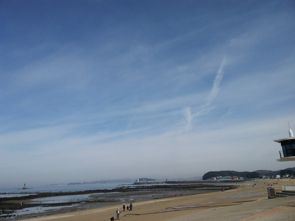 2019 년  3  월 9 일     무창포 