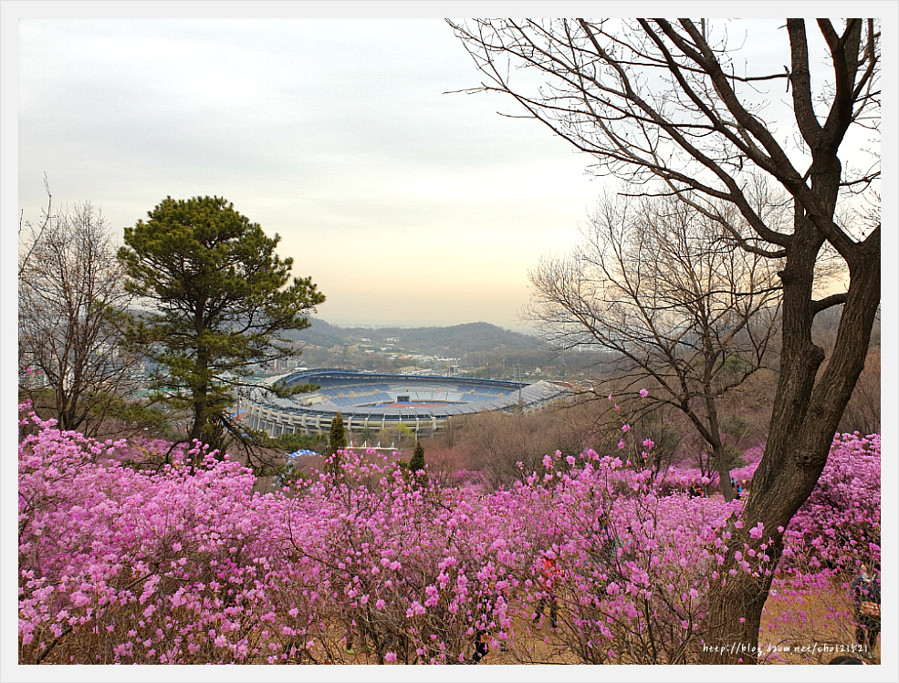 부천 원미산 진달래축제를 가다 ^^