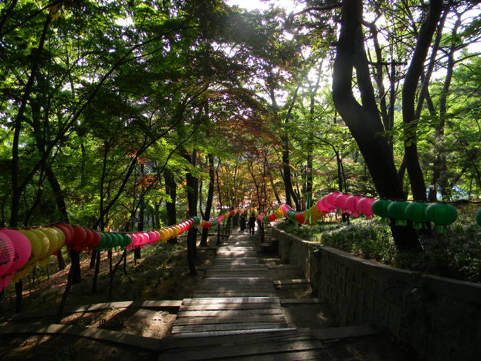 아차산 영화사의 오래된 보물이자 밥줄, 미륵석불입상 (미륵전, 오색연등이 걸린 숲길, 대웅전)