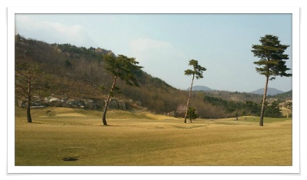 설악썬밸리에 벗꽃이 피어납니다.(4/01)