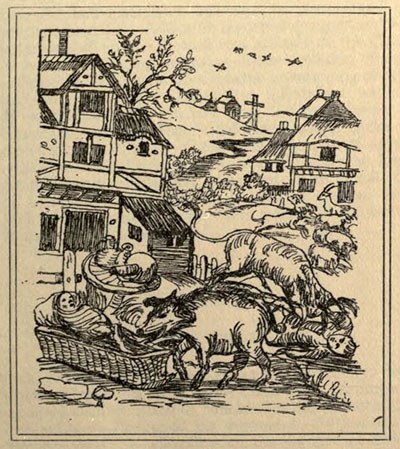 E.P. Evans(1906), 동물 형사 기소와 사형