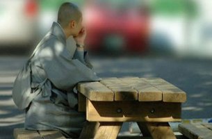 목탁새 / 안행덕