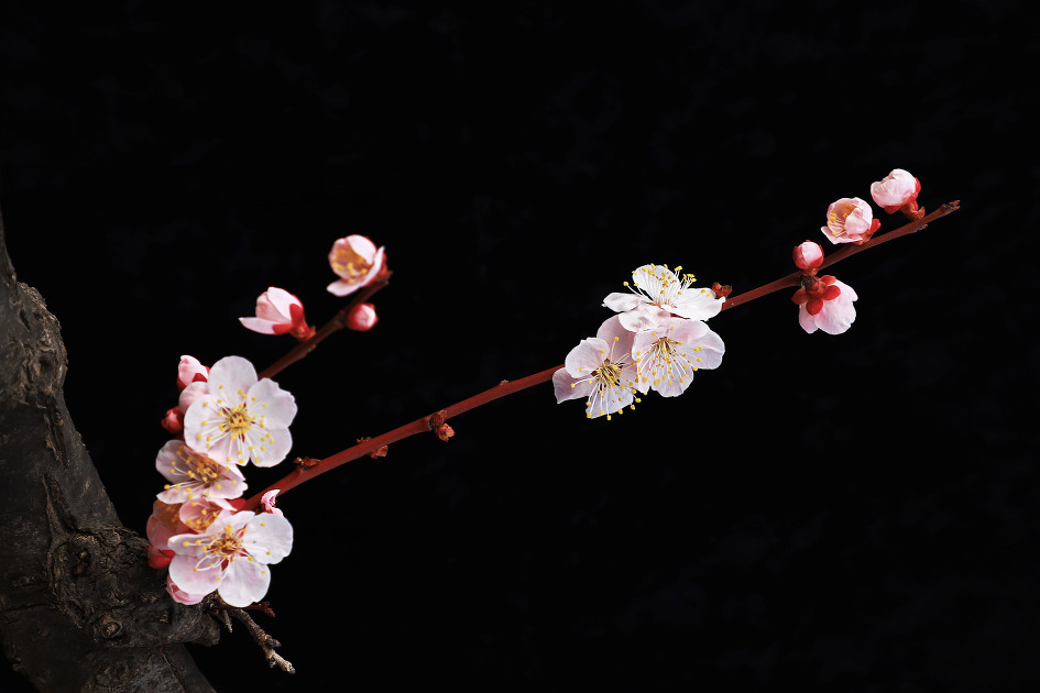 암중화 (김해건설공고. 2019.03.06.수)