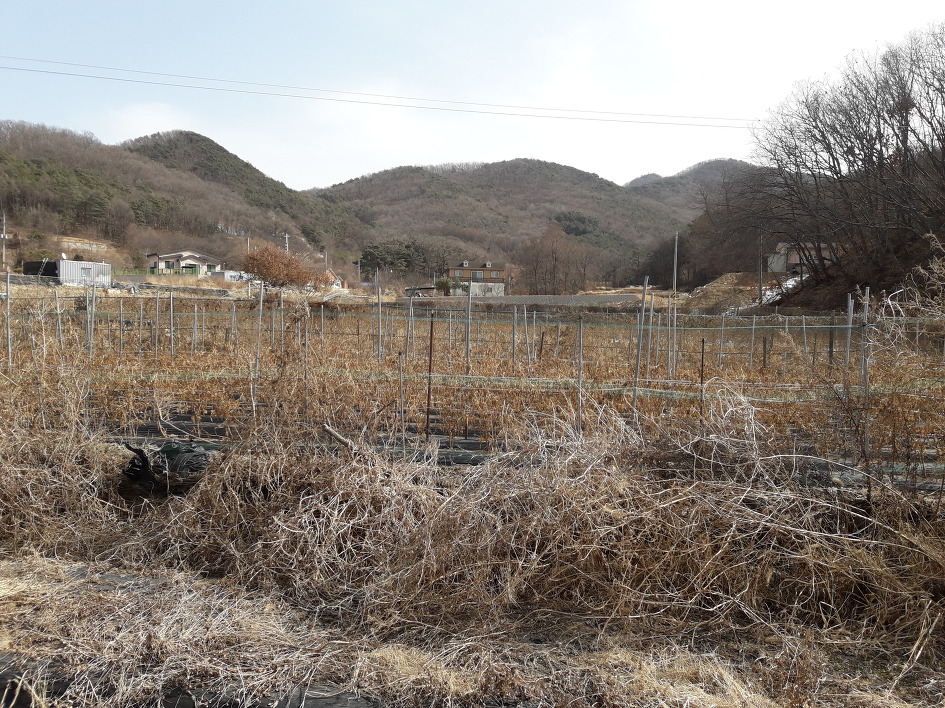 별밭식당 이미지