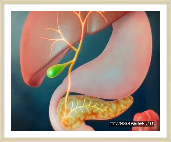 3803일째기도2018년10월10일(수)“김미카엘 목사의 오늘의 기도(祈禱)”