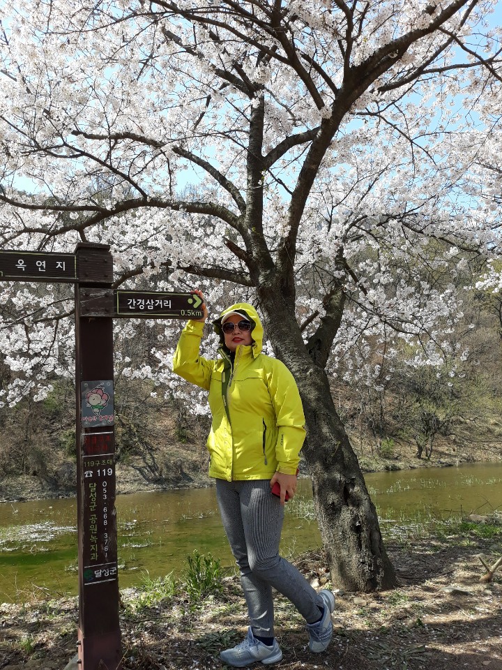 옥포벗꽃축제