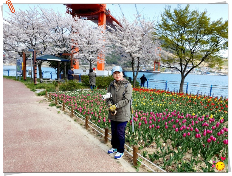 경남 남애 봄꽃여행 