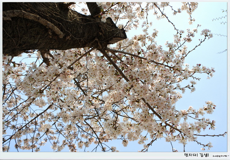 2019년 4월 1일