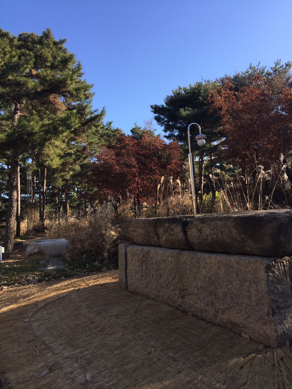 국립중앙 박물관의 안 뜰. 