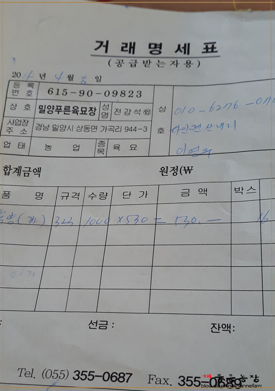 가지모종 도착했어요