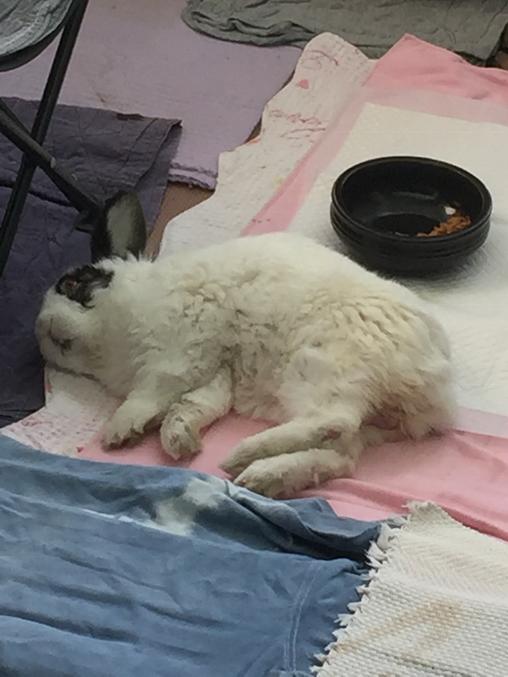 하트의 깊은 잠 