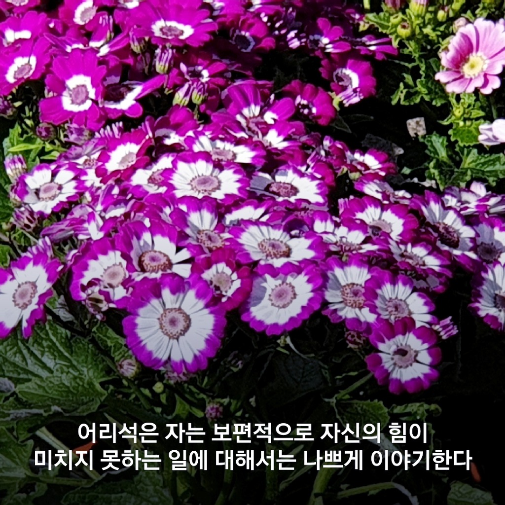 돈을 빌려주면 