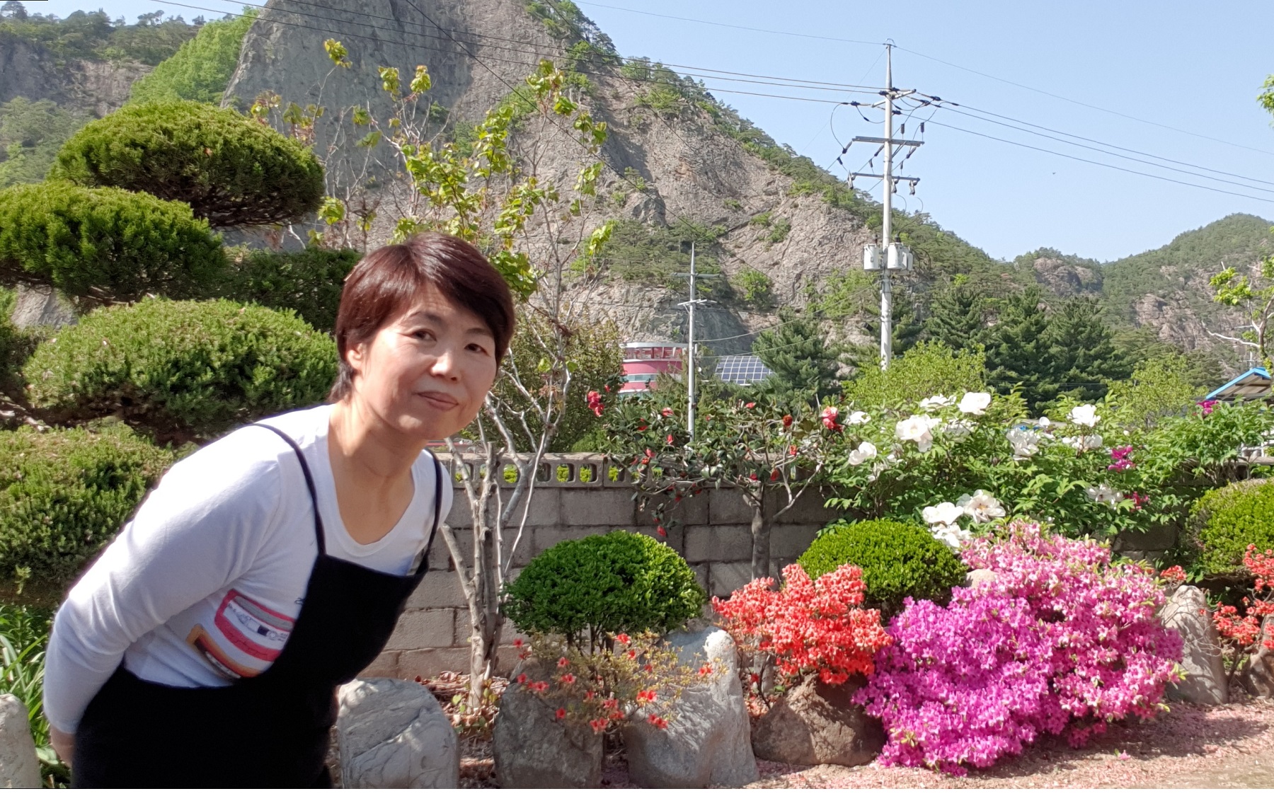 블로그 이미지