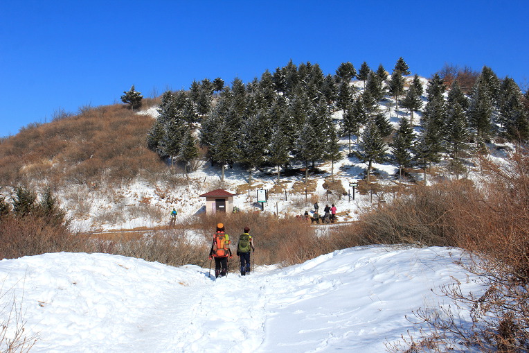 * 지리산 바래봉 눈꽃 산행기 