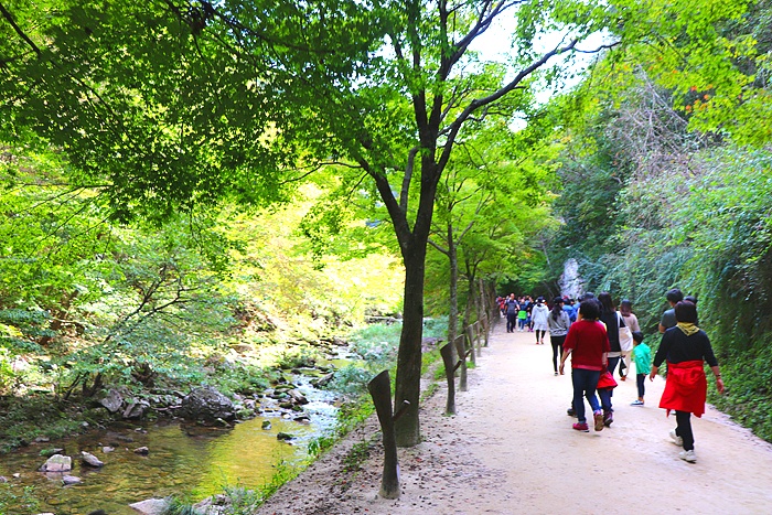원본이미지(클릭)