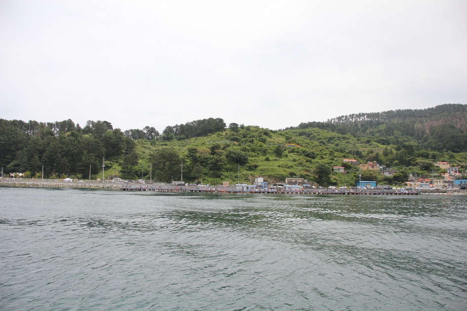 거제 지세포, 지심도 낚시 여행! 