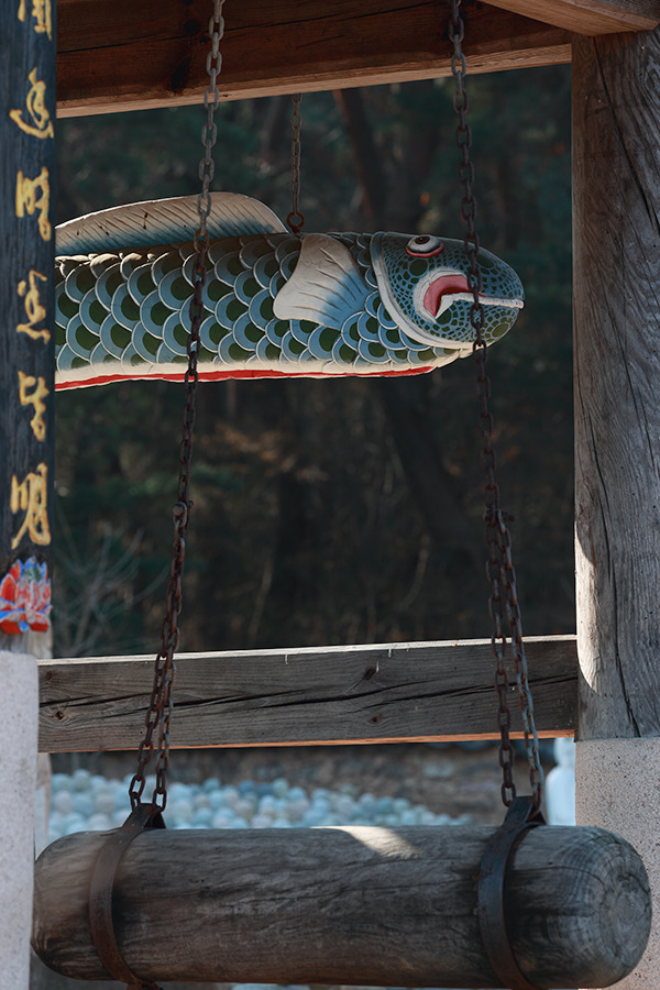 [목어(木魚)·어고(魚鼓)·어판(魚板)] 나무를 잉어 모양으로 다듬어 뱃속을 파낸 목어를 담아오다 / 토함