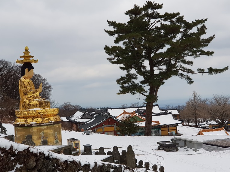 한라산 관음사 나한전에서 2019년1월1일