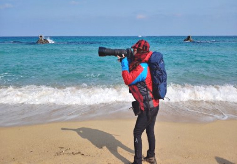 기차로 떠나는 바다 여행