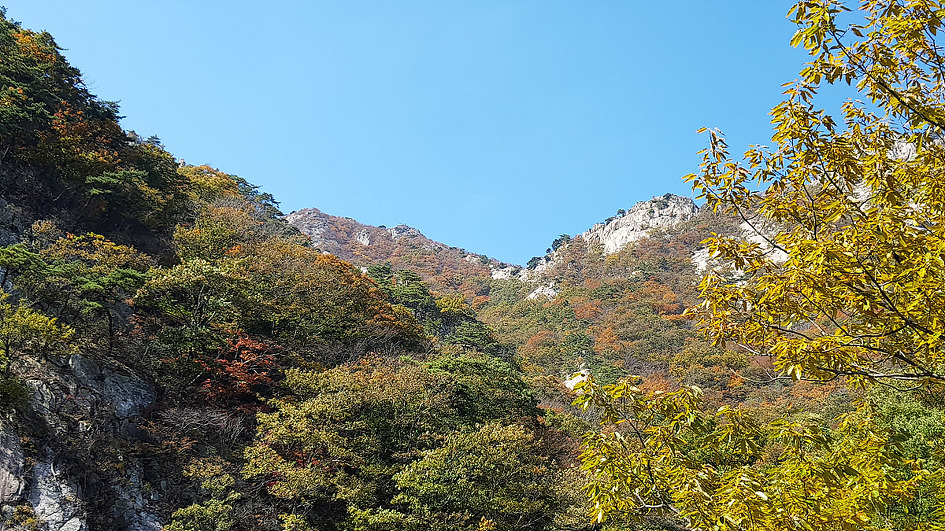 계룡산의 가을 정취에 빠져들다.