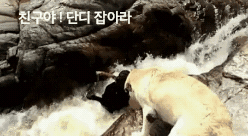 재미있는 그림