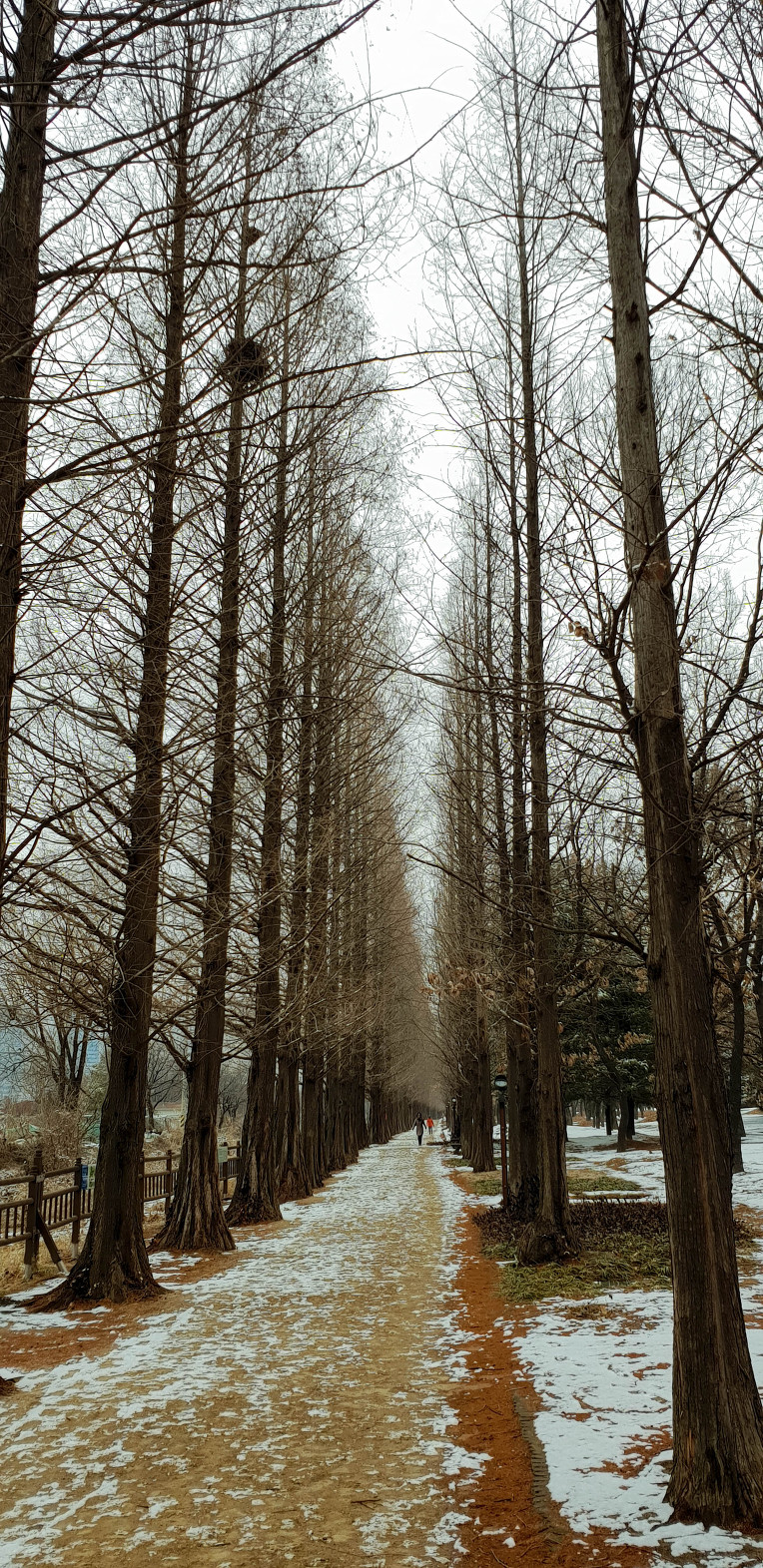 눈내린 일산호수공원